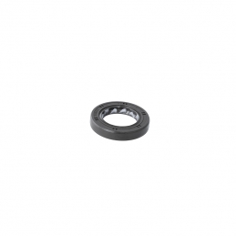 Oil seal (25x40x7) Talaria...