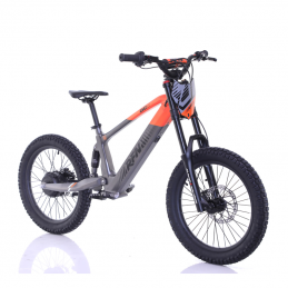 Moto Electrique RFN Evo 20...