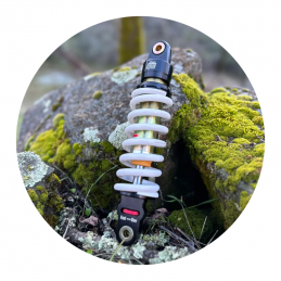 Rear Race Shock Absorber...