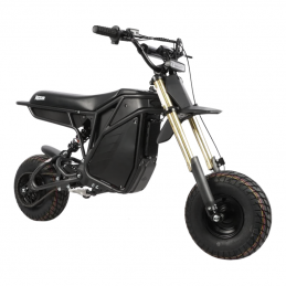 Moto Electrique ETM Rizzler...