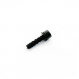 Rear brake Caliper bolt...