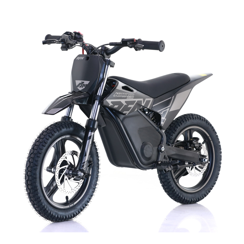 RFN Warrior SX-E250 / SX-E500 Electric bike